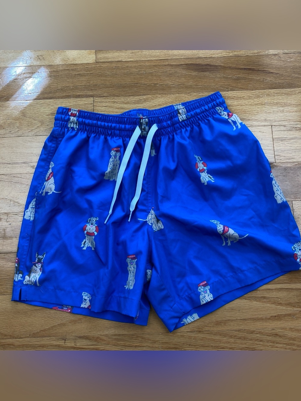 Chubbies Swim Trunks Mens M Blue Lifeguard Dog Print 5.5" Inseam Elastic Waist